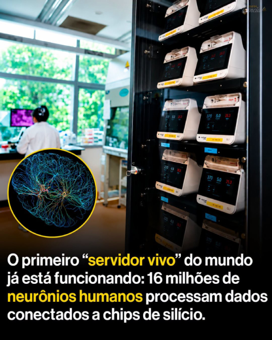 Aberta nova fronteira na computação.