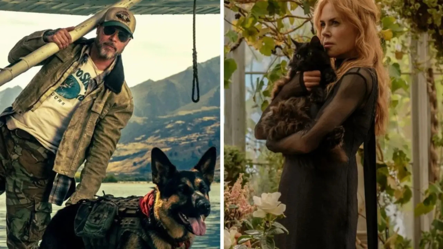 Veja as estreias de setembro nos cinemas