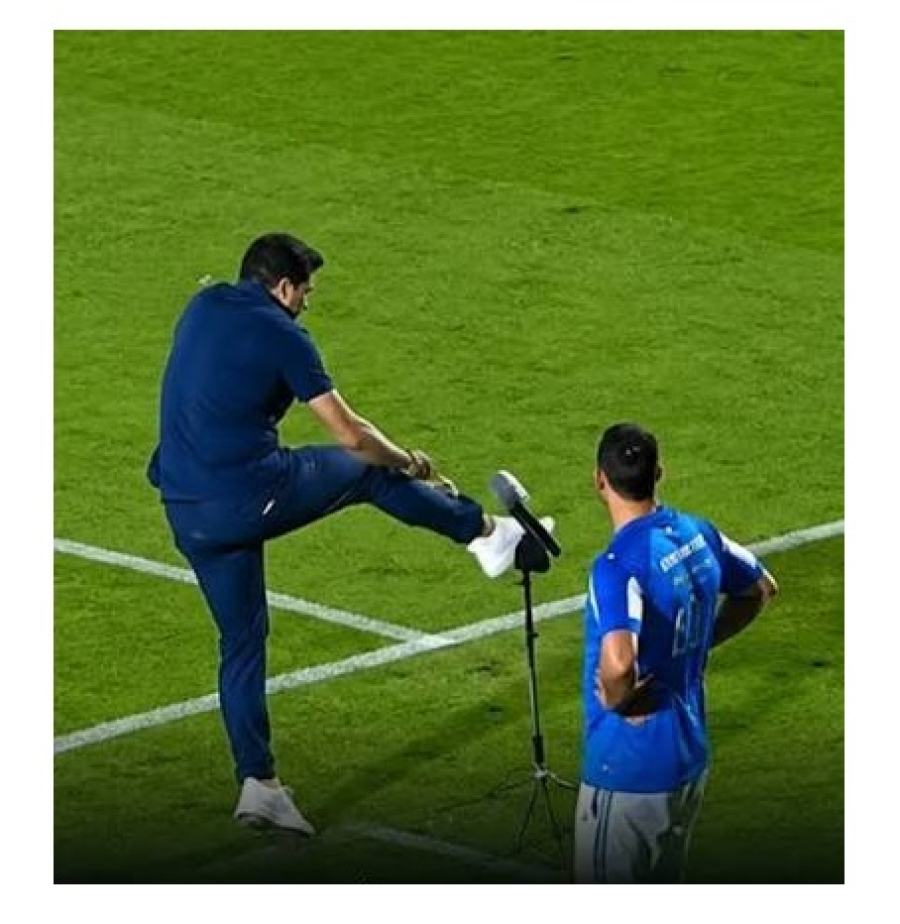 Abel Ferreira é multado por chutar microfone