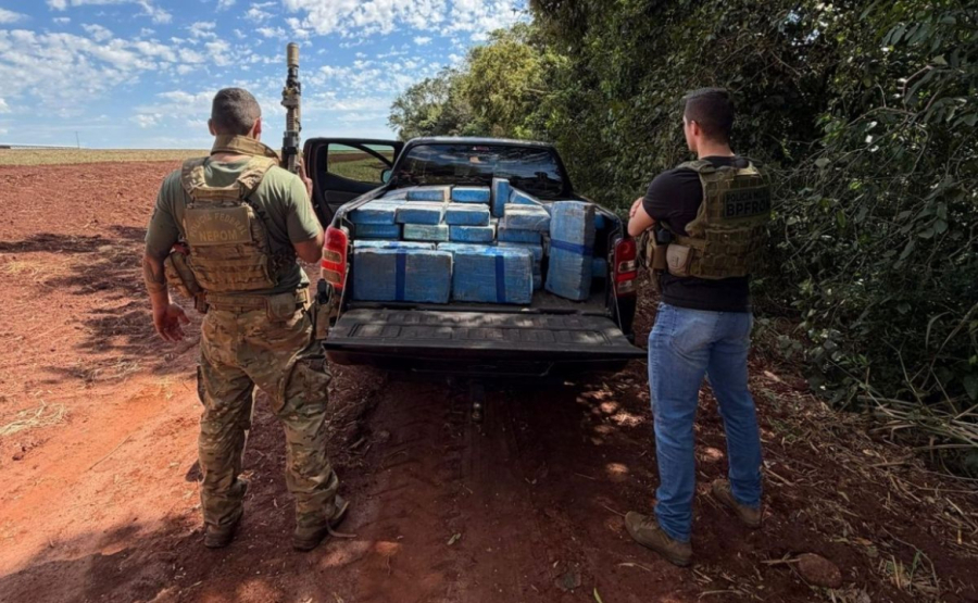 Polícia apreende 626,5 kg de maconha em Guaíra.