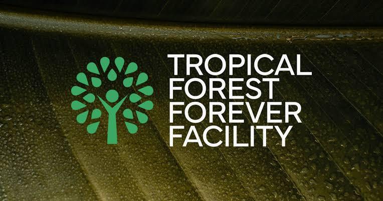 Reino Unido anuncia US$ 540 milhões para Fundo de Florestas criado pelo Brasil