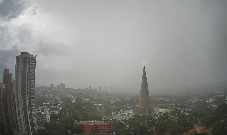 Temporal derrubou 46 árvores e deixa prejuízos.