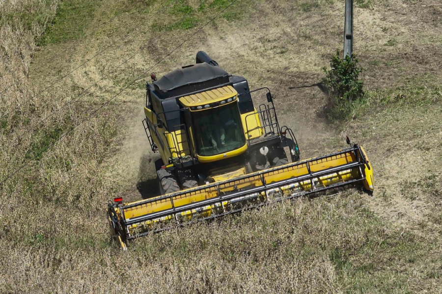 Paraná sobe para 4º lugar em Valor de Produção.