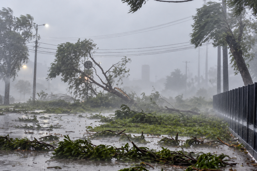 Chuva forte derruba árvores e provoca danos em vários pontos de Maringá