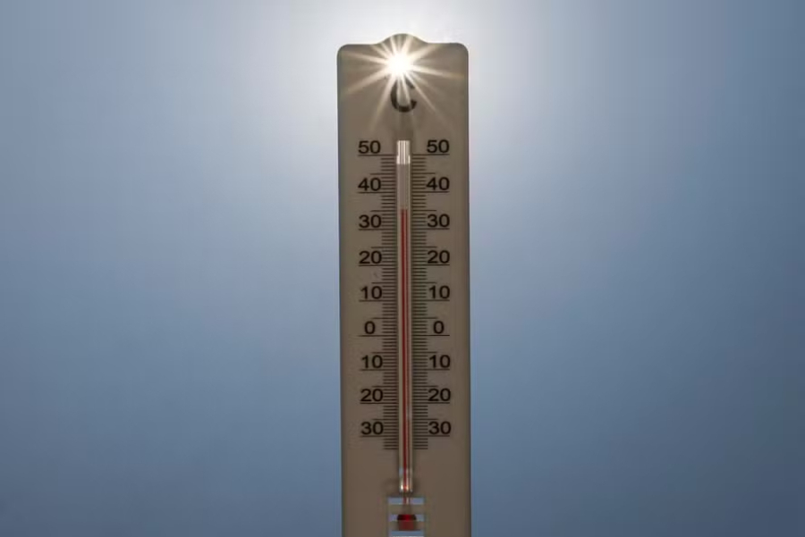 Recorde de calor na Europa leva a estresse térmico.