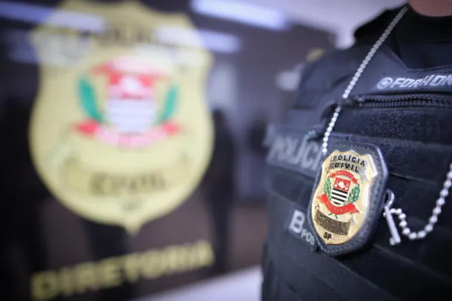 Polícia prende analista financeira suspeita de desviar quase R$ 2 milhões de banco.