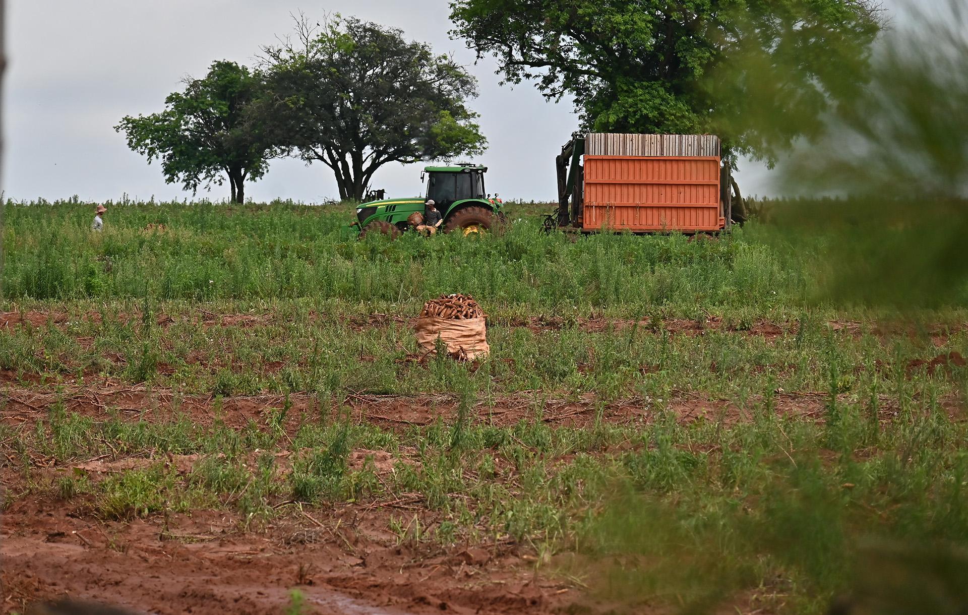 Chuva acima da média paralisa atividades rurais.