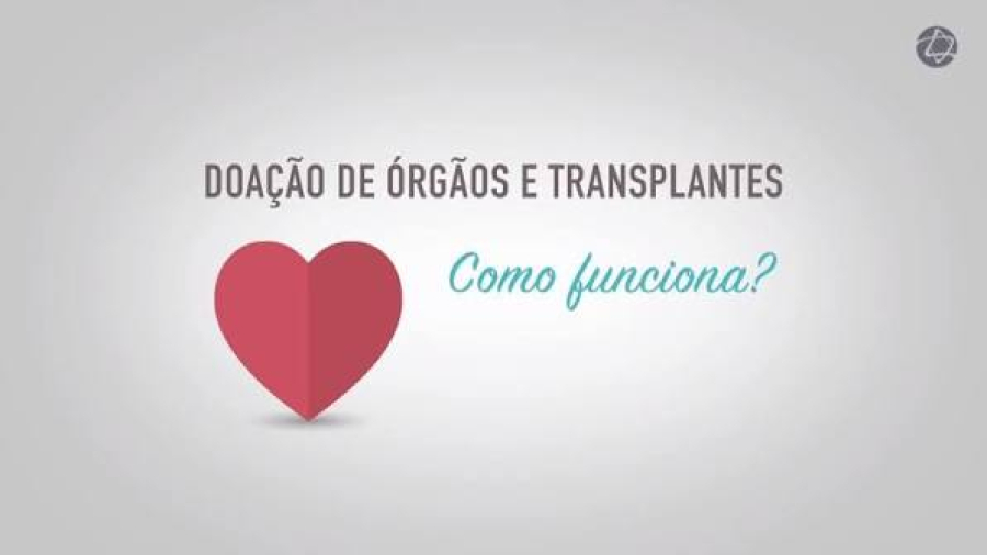 Entenda como funciona o processo de doação e transplante de órgãos