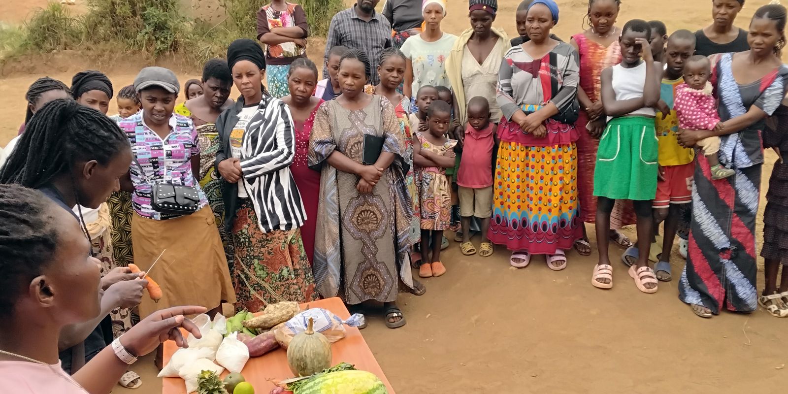 Projeto para criação de insetos como alimento