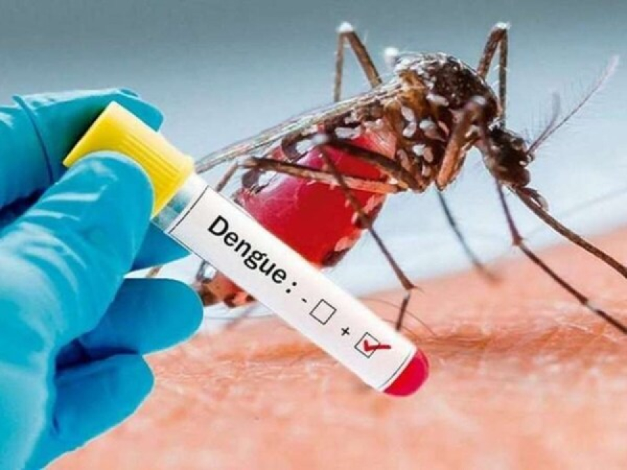 Saúde confirma mais 5.802 casos de dengue