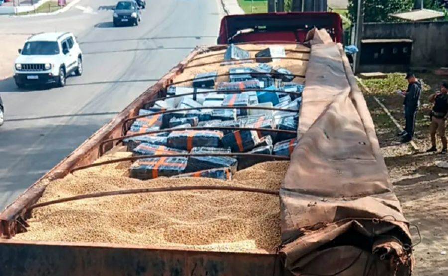 ﻿Caminhão com carga de  maconha é apreendida 