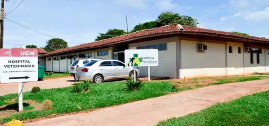 Câmpus da UEM de Umuarama sedia simpósio de Medicina Veterinária