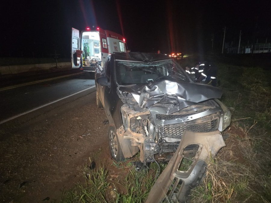 Motorista que causou acidente é solto após pagar fiança