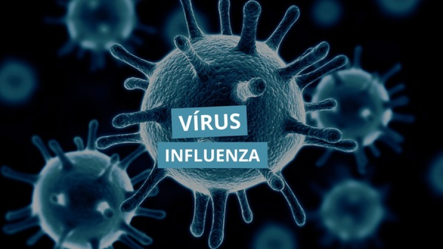 Mitos e verdades sobre a vacina contra a gripe: saiba como se proteger