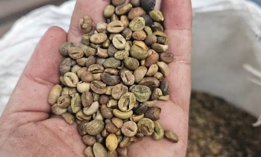 Operação apreende mais de 2 toneladas de café.